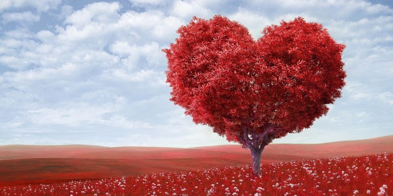 artistic-blossom-bright-207962