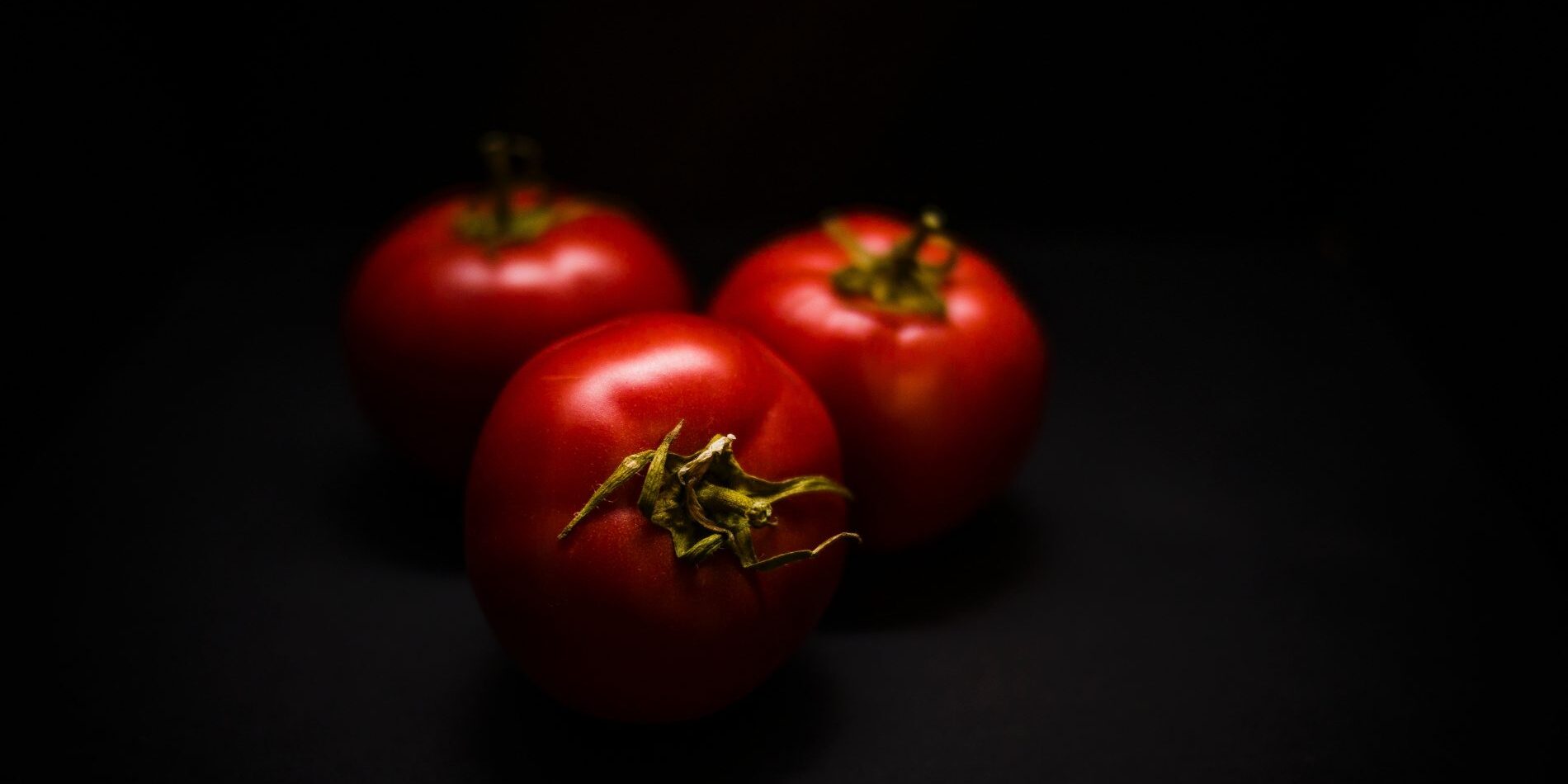 Photo by Michał Grosicki on Unsplash